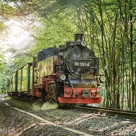 Litus Appartement Binz